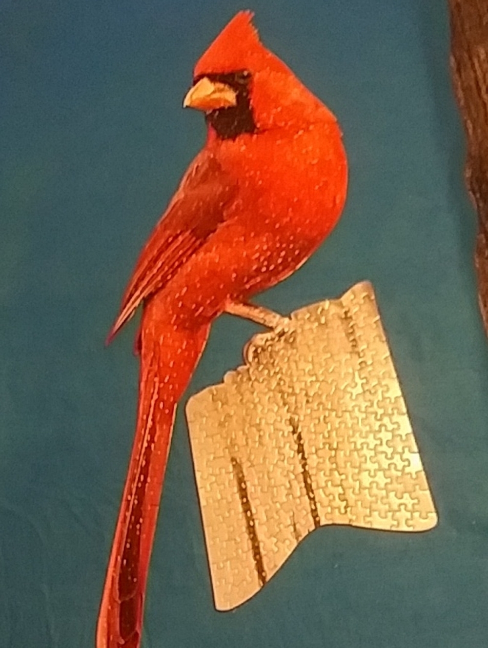 I Am Cardinal Bird Shaped PUZZLE 300 Piece